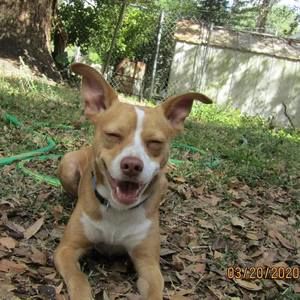 Meet your Posher, Corbin